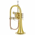 1. DRACO DFH 100 - flugelhorn Bb.webp