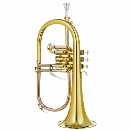 1. DRACO DFH 100 - flugelhorn Bb.webp