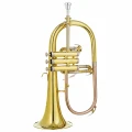 5. DRACO DFH 100 - flugelhorn Bb.webp