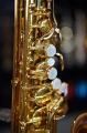 DSC05480.JPG