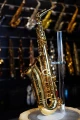 DSC05489.JPG