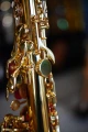 DSC05503.JPG