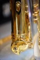 DSC05543.JPG