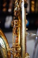 DSC05553.JPG
