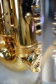 DSC05625.JPG