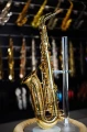 DSC05744.JPG