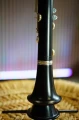 DSC05930.JPG