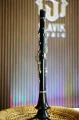 DSC05875.JPG
