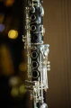 DSC05897.JPG