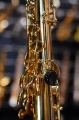 DSC05999.JPG