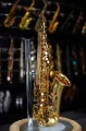 DSC05789.JPG