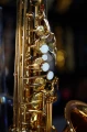 DSC05797.JPG