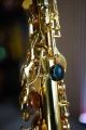 DSC05815.JPG