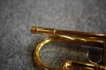 DSC05823.JPG