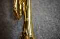 DSC05830.JPG