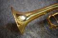 DSC05833.JPG