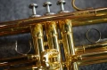 DSC05839.JPG