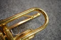 DSC05856.JPG