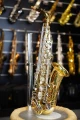 DSC06441.JPG